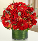 Cherished Memories<br>All Red Davis Floral Clayton Indiana from Davis Floral